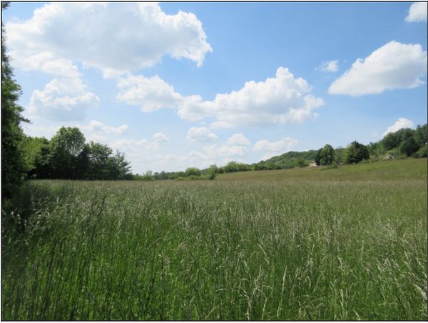 terrain de parachutage.jpg